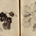 Libreta de bocetos a lápiz de George Seurat